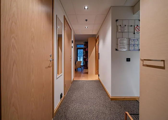 Levikaira - Ski-in Ski-out ليفي